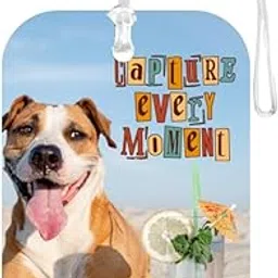 tashis pet junction TPJ Handmade Resin Customized Luggage ID Tag with Pet Name Dog Cat Photo, Cute Personalized Travel Bag Identifier Label, Travel Accessories Ideal for Gifting - Tropical Breeze Oceanfront Relaxation-picture-62