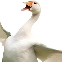 TRENDYNEST Decorative Garden Stake 2D Goose Animal Figurine for Backyard Landscape Bonsai| Garden Statue for Outdoor | Decorative Lawn Ornament | Showpiece-image-5