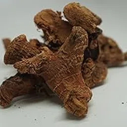 THOGAI’S -” SITHARATHAI”- CHITHARATHAI/சித்தரத்தை / Sitharathai/Lesser Galangal/Kulanjan/Alpinia Officinarum (25 GRAMS)-picture-38