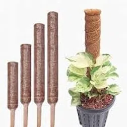 generic CosaCentrum Coco Pole Moss Stick Garden Mulch - 1 ft CoirSticks for Indoor Outdoor House Plant Creepers Climbers Vine Plants Pothos Money Plant Monstera Support (4 feet)-picture-14