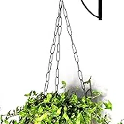 INSIGNIA DECOR Metal Plant Hnager Hooks for Home and Garden Plant Holder Bracket Key Hanger Lantern Holder (Pack of 1, Black)-picture-10