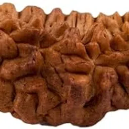 TRINERTA GEMS STONE 1 Mukhi Kajudana Rudraksha Natural Nepali Beads काजू दाना रुद्राक्ष IGL Lab Certified Superb Natural Kajudana Rudraksha For Make Mala Pendant Genuine One Face Rudraksha-picture-11