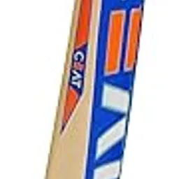 Willow Maste Raider Hitman English Willow Cricket Bat for 12-14 Yrs (1 kg)-image-99