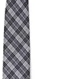 louis philippe Men Grey Embroidered Tie-picture-14