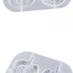 Bnf®2X Organs Fondant Model Handmade Reusable Baking Brain and Digestive System|Crafts | Multi-Purpose Craft Supplies |2 Casting Models-picture-18