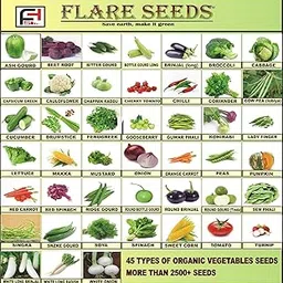 FLARE SEEDS 45 Varities of Vegetables Seeds 2500+ Seeds With Instruction Manual-image-61