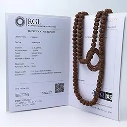 Rudraksha Mala 108+1 Beads (Pathri Mala/Chikna Mala) ISO Lab Certified-image-63