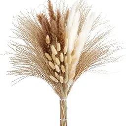LICHTS®Natural Pampas Grass Bouquet Reed for Desk Photographing Flower Arrangements Style A|1 Bouquet of Dried Pampas Grass|Home & Garden-picture-25