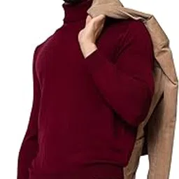 armisto Lambs Wool V-Neck Winter Sweater for Men/Woolmark Certified-picture-53