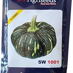 US Agriseeds SW 1001 F1 Hybrid Pumpkin Seeds, Dark Green with Yellow Stripes 50GM-picture-66