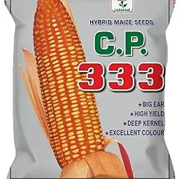 Maize Seeds | Makka Bhute ke Beej (333 Hybrid - CP) (3.6KG)-picture-14