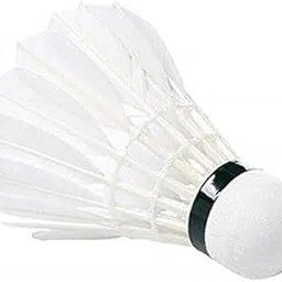 Forgesy Plastic Badminton Feather Shuttlecock (White) - Pack of 10-picture-10