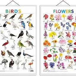 Set of 2 Birds and Flowers Early Learning Educational Charts for Kids | 20"X30" inch |Non-Tearable and Waterproof | Double Sided Laminated | Perfect for Homeschooling, Kindergarten and Nursery Students-image-42
