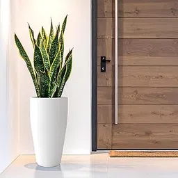 YUCCABE ITALIA Foxb Vnr 30 Inch Pots For Plants Highly Durable Polymers Lightweight Indoor Outdoor Tall Flower Pot Gamla Tree Planter Container Planters For Living Room, Balcony,Garden Home, Beige-picture-28