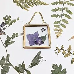 Art India Collections Home Decor Glass & Metal Hanging Picture Frame for Wall Decoration, with 2 Sides Glass, Key Chain Brass and Glass Photo Frame 3x3 inches-image-89