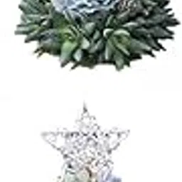 MERISHOPP®2 Pcs Artificial Succulent Christmas Tree Resin Crafts for Xmas Season Décor|Home & Garden|Yard, Garden & Outdoor Living|Garden Décor|Statues & Lawn Ornaments-picture-35