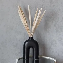 Flowers and Fillers || White Millet Sticks (10 Sticks) | Natural Dried Flower | Eco-Friendly Flowers for Home, Office, Bedroom, Table Decoration and Craft Items Corner (Without Vase Pot)-picture-16