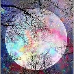 jleraza 5D Diamond Painting Kit – Moon Design, DIY Full Drill Rhinestone Art Craft with Tools, Diamond Embroidery Painting for Adults & Kids, Wall Decor Gift (12x16 in / 30x40 cm)-picture-14