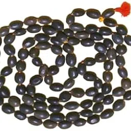 Original Certified Jeweltique! AA++ Rated Kamal Gatta Jaap Mala Pure Brown 108+1 Lotus Seeds for Blessed by Mahalaxmi-picture-34