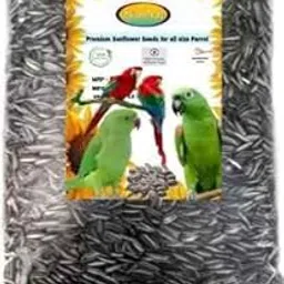 Mistletoe Product Sunflower Seed Bird Food for Conures, Lovebirds, Cockatiels, African Grey, Macaws, Indian Parrot, Macaw, Cockatoo, Budgies and Exotic Birds (900g)-image-14