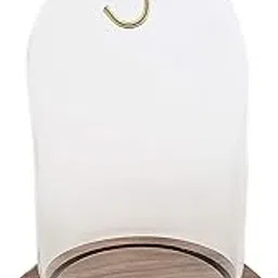 dueber watch co 3"x4-1/2" Pocket Watch Glass Display Dome Cloche Real Walnut Wood Base & Wood Knob-picture-19