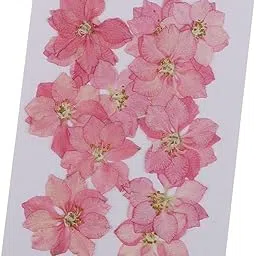 LICHTS®12 Pcs Pressed Flowers Dried Larkspur Real Pressed Dried Flowers DIY Pink|Crafts | Home Arts & Crafts | Floral Crafts | Dried Botanicals & Potpourri | Dried Flowers-picture-44