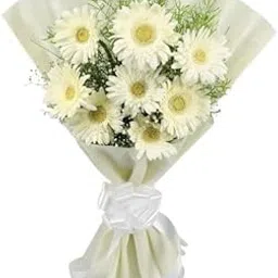 FLORANET Gorgeous Bouquet – 8 White Gerberas beautifully wrapped in tissue, perfect for Anniversary, Birthday, Wedding, Congratulations, Mother’s Day (Same Day Delivery Available)-picture-29