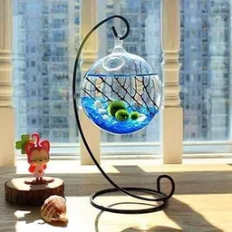 SHOBHANA ENTERPRISES Crystal Clear Glass Fish or Terrarium Round Bowl with Metal Hanging (6 inches)-picture-64