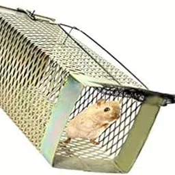 ISKA Rat, Rodent, Mouse Trap/Catcher Iron Big Size - Ultimate Solution to All Rat Problems-picture-26