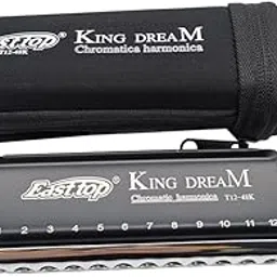 Chromatic Harmonica T1248K 12 Hole 48 Tone C Key Professional Playing Harmonica Mouth Organ For Beginner,Adults, Professional Players,Students-picture-14