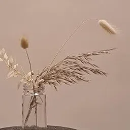 Indosfera Dry Flowers Mini Bouquet DIY Kit | Elegance-picture-47