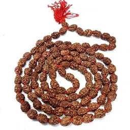 RDESIGN High Rated 8 Mukhi Rudraksha Mala Original Certified Nepali 8 Mukhi Rudraksha 108 Beads 8 Face Rudraksha Mala Ashtamukhi Rudraksha Mala Eight Mukhi Rudraksha Mala for Puja & Jaapa Purpose-picture-40