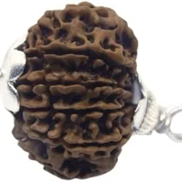 Cuonna Gems Gallery Igl Tested Nepali 20 Mukhi Twenty Face Rudraksha Original Certified 20 मुखी रुद्राक्ष Auspicious Bees Mukhi 20 Face Rudraksha for Suitable for Men & Women बीस मुखी रुद्राक्ष-image-14