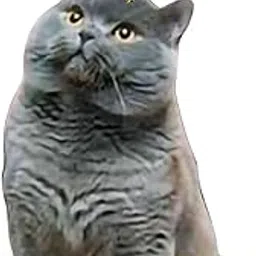 Merishopp car Pendant Funny Car Accessories for Table Windows Doors Style B-picture-55