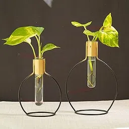 TIED RIBBONS Decorative Test Tube Planter Flower Vase with Metal Stand (Set of 2, Black) for Money Plant Flowers Home Decor Office Living Room Indoor Outdoor Living Room Table Top Decoration-picture-56