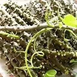 Giloye/Giloy Plant/Neem Tree Guruch Fresh Stems 7-Inch Each -13 Fresh Neem Giloy Stems' (Total -91 Inch, Brown Mature Inside Green)-picture-39