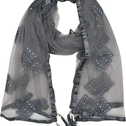 youthquake Women's Embroidered Net Dupatta-picture-43