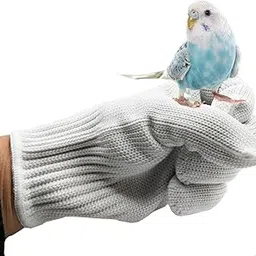 alfyng Bird Training Anti-Bite Parrot Chewing Protective Gloves, Small Animal Handling Gloves for Parrotlets Cockatiels Finch Macaw (1 Pair White)-picture-67