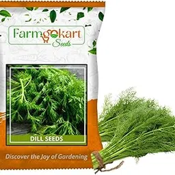 Farmgo ~ 50 Grams – Dill (Soya, Soa, Savaa, Sathakuppi, Sabbasige soppu, Sholpa) planting ideal for both home gardening, Open farming, and Poly Houses-picture-15