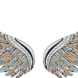 DESIGN DECOR Wings Wall Sticker for Cafe Home & Restaurant Size 90x45_Cm-image-79