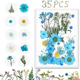 YellowCult Natural Dried Pressed Mixed Flowers for Making Candle Jewelry Nail Pendant Crafts (30~35 Pieces, Type 2, Multicolour)-picture-25