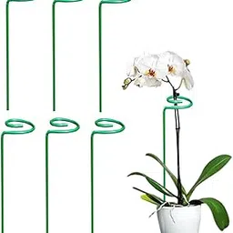 Elegent Home Plant Support Stakes Single stem Flower Plant Support Trellis for Amaryllis Orchid (Pcs of 6)-picture-23