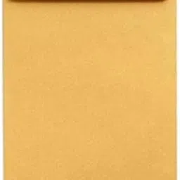 True-Ally Poly Laminated inside Paper, Plastic Envelopes, Pack of 25, Yellow, 10 x 14 inches-picture-25