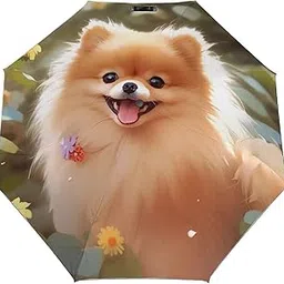focupe Pomeranian Dog_81520767 Print 3 Fold Auto Umbrella Waterproof and Wind-Resistant, Ideal Gift for Travel and Outdoor Activities-picture-13