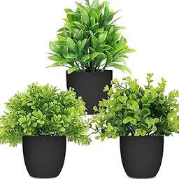 Dekorly® Artificial Potted Plants Mini Fake Plants, Small Eucalyptus Potted Faux Decorative Grass Plant with Black Plastic Pot for Home Decor, Indoor, Office, Desk, Table Decoration (Set of 3)-picture-12
