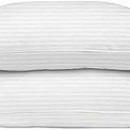 VLYSIUM Rectangular 14x20 Inches Cushion, Set of 2, Microfiber Hotel Quality Premium Fibre Soft Cushion, Pillow Filler, White-picture-25