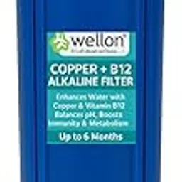 Wellon Copper + B12 Alkaline Filter – Whole House Water Enhancer | Adds Copper & Vitamin B12 | Boosts Immunity & pH Balance | 20" Big Blue Cartridge | Up to 6 Months Life-image-60