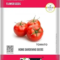 BIOLAND Red Tomato Seeds for Kitchen Gardening | Tamatar Beej for Home Garden-picture-27
