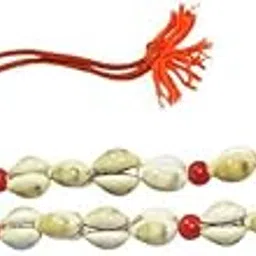 Tuljai Cowrie Shell Mala, 108 Natural Shells, Yellow Cowry Mala - 108 Natural Kaudis in One Mala for Pooja - Kauri – Kowri – Cowry – Kaudi – Cowrie - Pack of 1.-picture-43