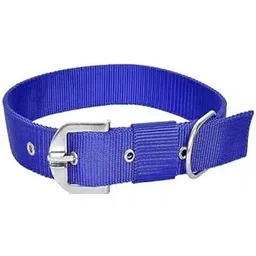 Graceful Pet Collars, Harnesses & Leashes – Stylish & Comfortable Accessories Blue-picture-23